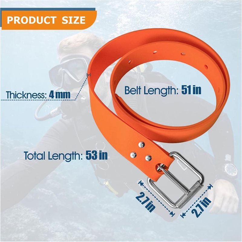 RTENTE-Fishing Diving Belt Buc - đánh giá và giá Fishing Belt